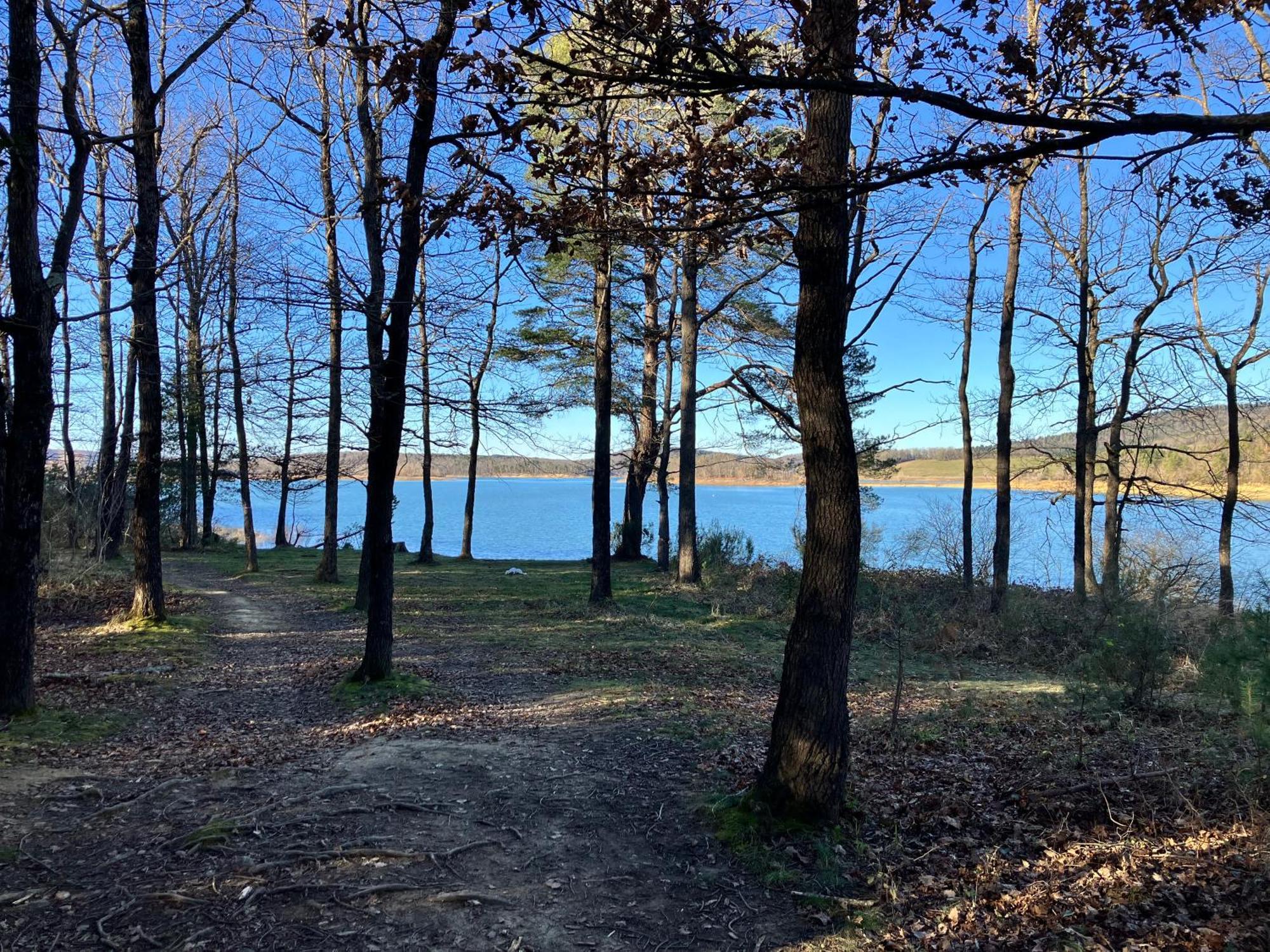 Maison Avec Vue Sur Le Lac De Montbel Exterior photo